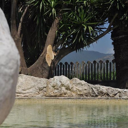 B&B Levante Paestum Mattine Bagian luar foto